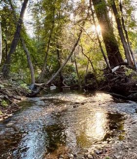 North Fork House | Creekside Quail Landing Near Yosemite & Bass Lake