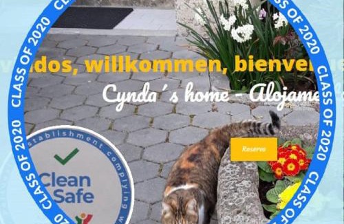 Viseu House | Cynda´s home