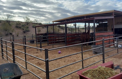 Wickenburg Apartment | Desperatehills Casita one bedroom full kitchen and corral