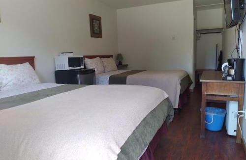 Tofino Hotel | Dolphin Motel