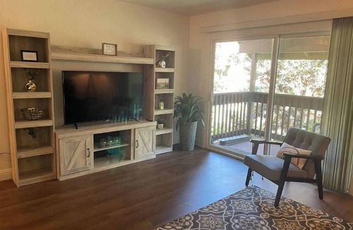 Downtown Condo | Downtown Luxury Condo. Gated, Updated w/Parking, Pool & Gym. Close to hospitals.