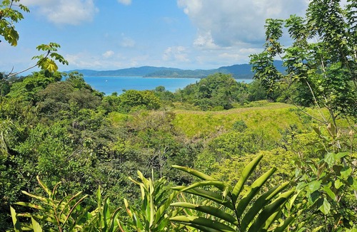 Drake Bay Hotel | Drake Bay Greenleaf