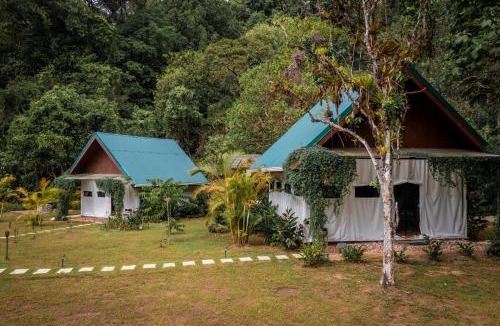Drake Bay Other | Drake Bay River View