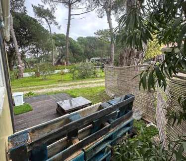 Lagoa de Albufeira Other | Eco-friendly beach house