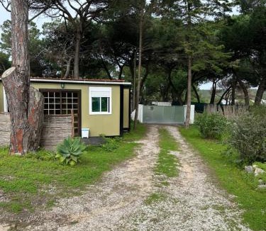 Lagoa de Albufeira Other | Eco-friendly beach house
