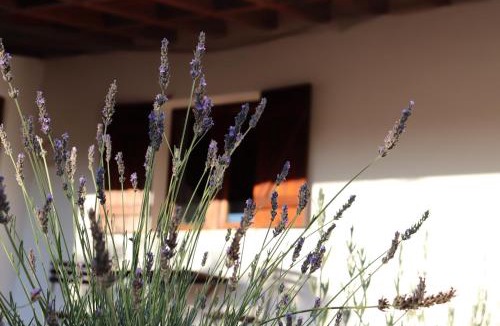 Corte do Gafo de Cima House | Ecoland Casa de Campo