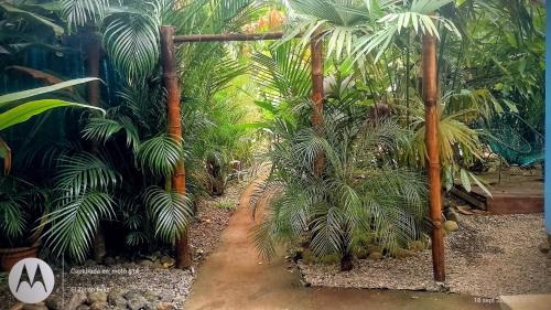 Cocles Apartment | El Tucan Feliz - Boho Jungle Tiny Guest House & Mini Pool Oasis