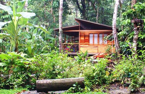 Cocles Bed & Breakfast | El Tucan Jungle Lodge