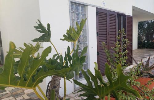 Mertola Apartment | ELEVEN -A- SUITE tipo T1