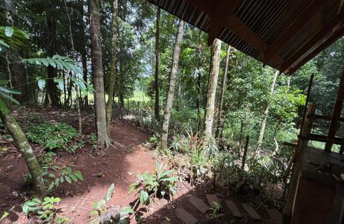 Drake Bay Ski Chalet | Entire Jungle Chalet Playa Ganadito