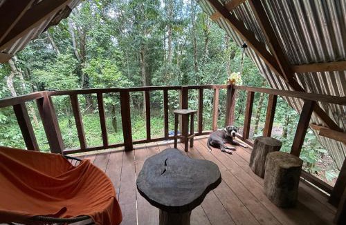 Drake Bay Ski Chalet | Entire Jungle Chalet Playa Ganadito