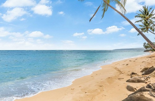 Waialua Condo | Exquisite Mokuleia Beachside Cottage