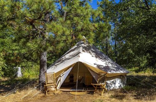 Mount Laguna Other | Family Adventure Awaits: Glamping Under the Stars in Mt. Laguna, California