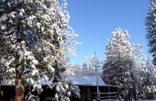 Pinehurst Cabin | Family friendly house (cabin) 20 minutes from Kings Canyon, pets welcome!