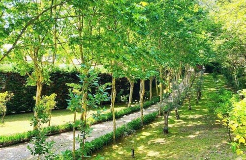 Baiao House | Farm Paradise in Douro 10 people