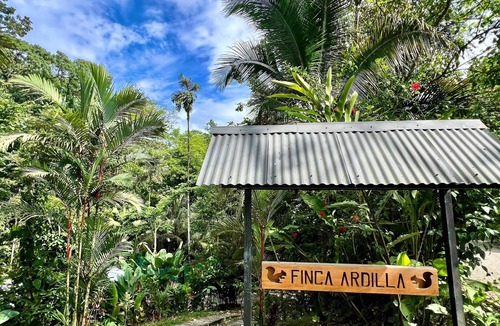 Cocles House | FINCA ARDILLA, ecolodge with swimming pool, for nature lovers.