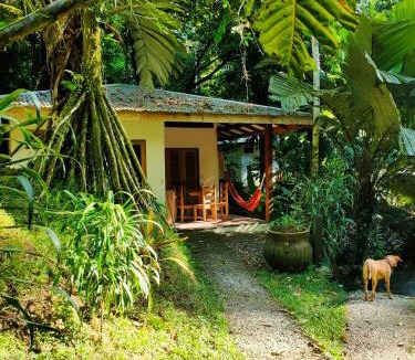 Chiguata Cabin | Finca Ardilla Jungle Lodge