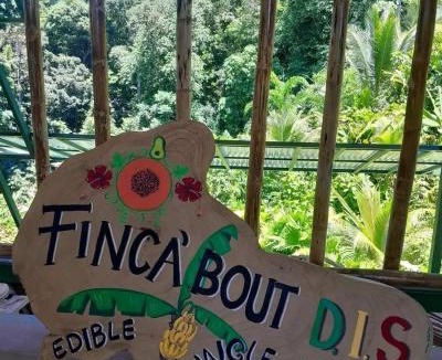 Chiguata Ski Chalet | Finca'bout DIS