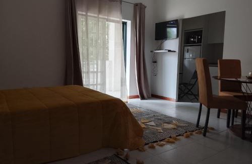 Caldas da Felgueira Apartment | Garça-Real 1