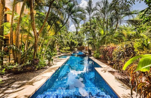 Playa Langosta Apartment | Gem across the street from the beach