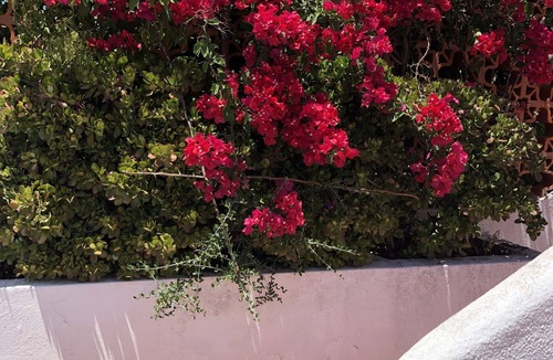Vale Formoso Villa | Genie's Villa Boutique, Algarve-Family Friendly-Pool,Balcony Garden, Terrace,BBQ