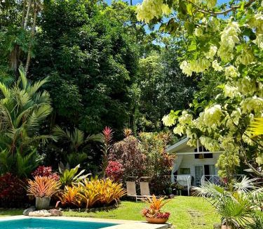 Punta Uva House | Ginger and Cacao, Luxury Villas and Cottage with Pool and Ocean Views