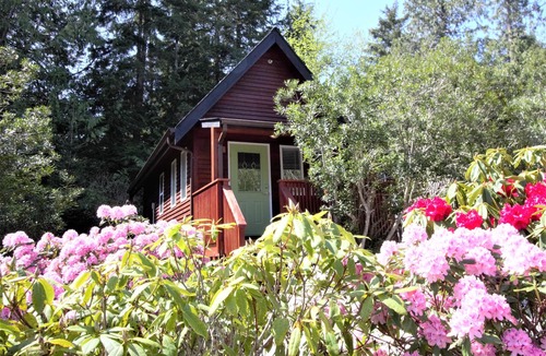 Ucluelet Cabin | Great Cabin in close to walking trails and beaches - 13T