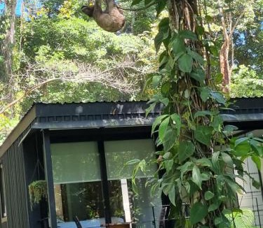 Manzanillo Villa | Green Lapa's