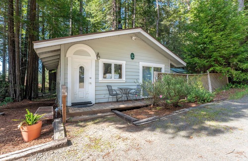 Mendocino Cabin | Green Tree Cottage | 1 BR Vacation Cabin among the coastal redwoods
