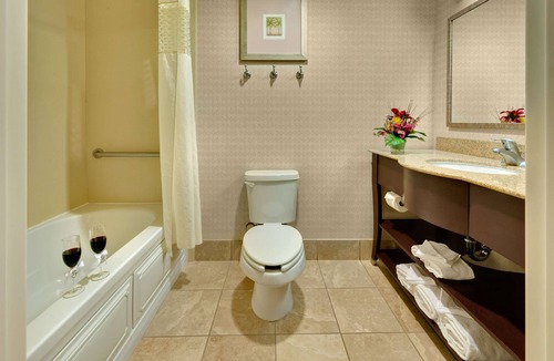 Reno/Tahoe Airport Hotel | Hampton Inn & Suites Reno