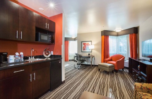 Shoreline West Hotel | Have a Super Time at the Holiday Inn Express Mountain View South Palo Alto!