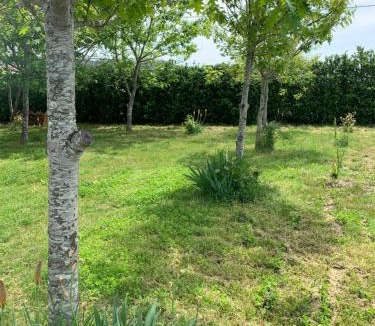 Areias House | Herdade di Luce SPA