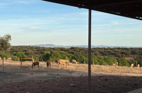 Alandroal House | Herdade dos Calvinos, Monte 2 - Alandroal