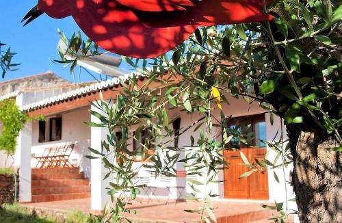 Mertola House | Holiday Home in Guadiana Park near River