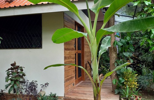 Uvita Cottage | Homestay in dashing 1br garden-cottage in Uvita, 10 min walk to the beach