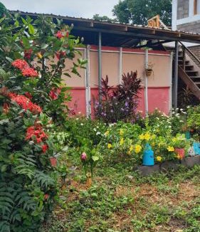 Altagracia House | Hospedaje Bananas