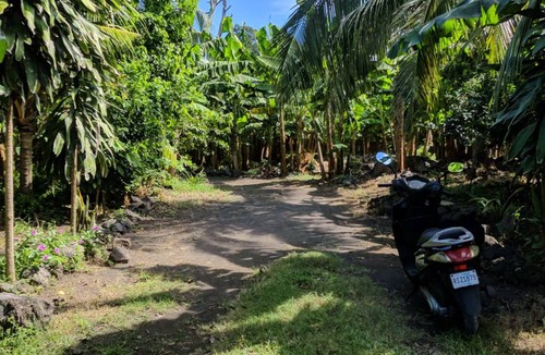 Altagracia Hostel | Hostel ∙ 8 guests