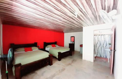 Drake Bay Bed & Breakfast | Hostel Osa Tucan Drake