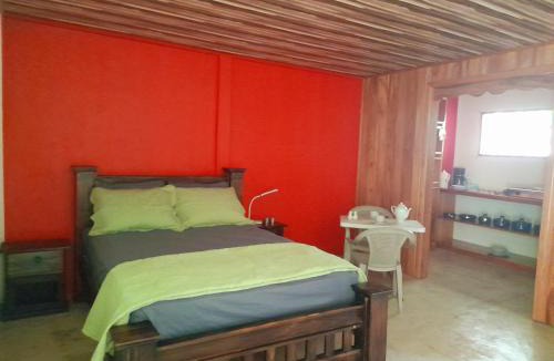 Drake Bay Bed & Breakfast | Hostel Osa Tucan Drake