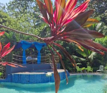 Cahuita Cabin | Hotel 3 Bamboo Ecolodge