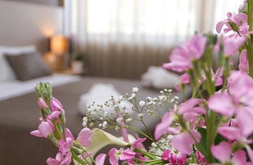 Tabuaco Hotel | Hotel Douro Inn