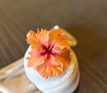 Cocles Hotel | Hotel La Isla Inn