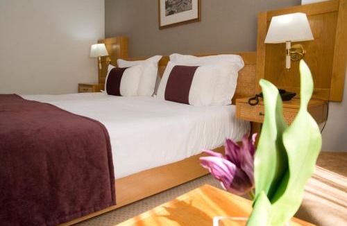 Castelo Branco Hotel | Hotel Rainha D. Amélia, Arts & Leisure