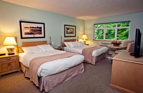 Tofino Hotel | Hotel Zed Tofino