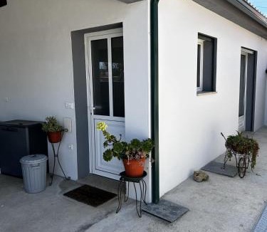 Albergaria-a-Velha Apartment | House TataZinha