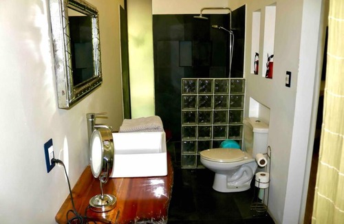 Coco Apartment | Howler Villa - Cozy Studio in Coco Beach