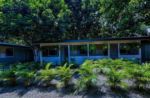Puerto Viejo de Talamanca Cabin | Iguana Villas