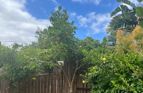 Inglewood House | Inglewood Oasis Casita