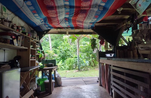 Cocles Apartment | Jungle house