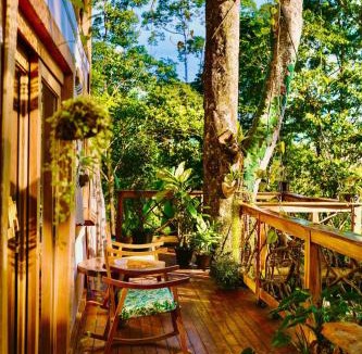 Cahuita House | Jungle Spirit Treehouse